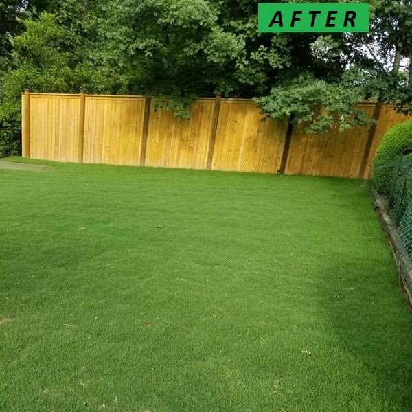 xr:d:DAF_7AcOmic:44,j:6940469163476538587,t:24031906